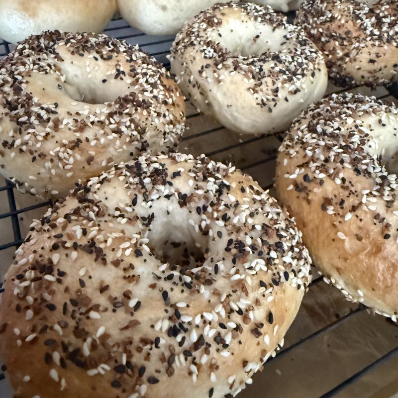 Everything and plain sourdough bagels cooling on a rack